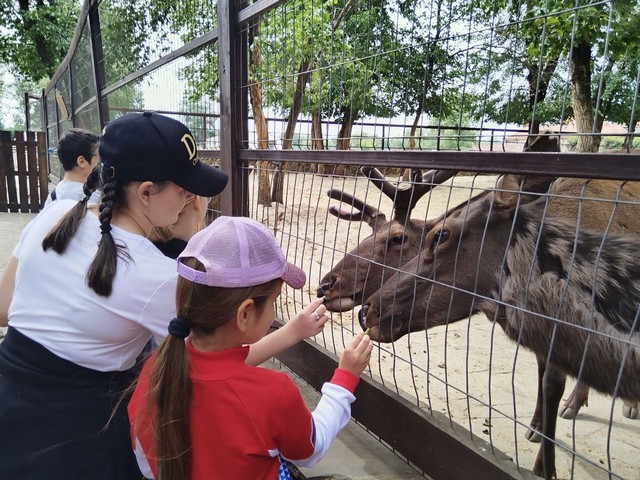 foto 2025 05 26 13 40 003