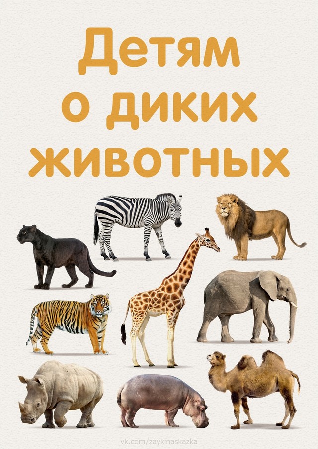 foto 2025 07 16 14 51 001