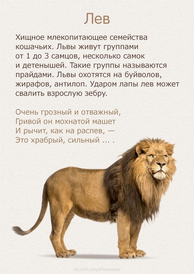 foto 2025 07 16 14 51 002