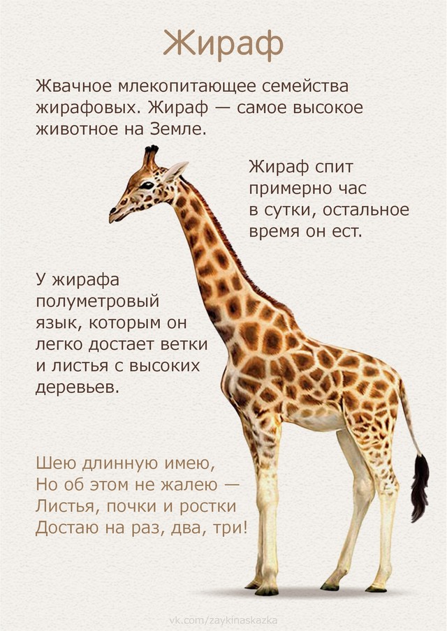 foto 2025 07 16 14 51 003