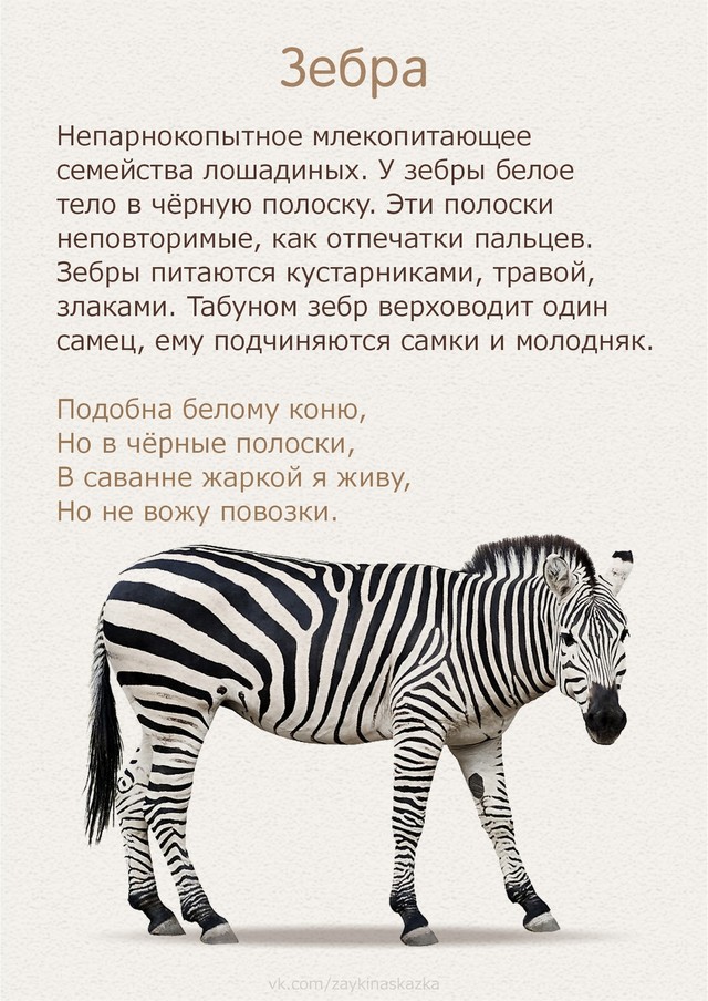 foto 2025 07 16 14 51 004