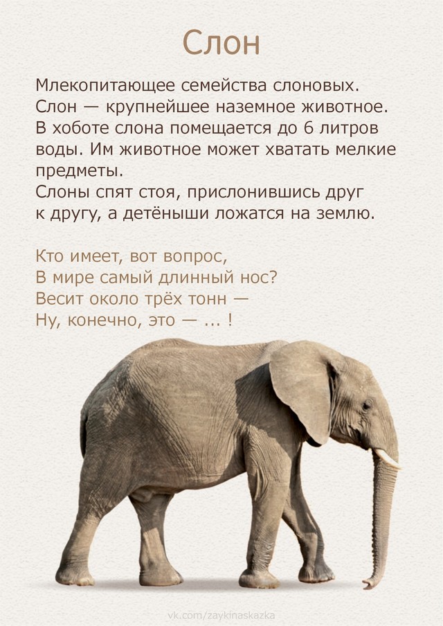 foto 2025 07 16 14 51 005