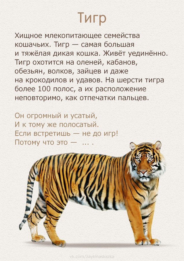 foto 2025 07 16 14 51 006