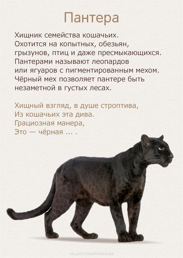 foto 2025 07 16 14 51 007