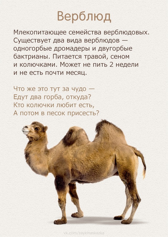 foto 2025 07 16 14 51 010