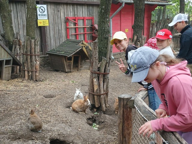 foto 2025 05 30 11 13 006
