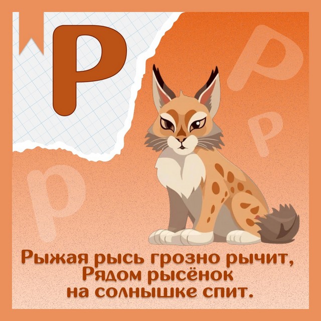 foto 2025 06 04 14 12 002