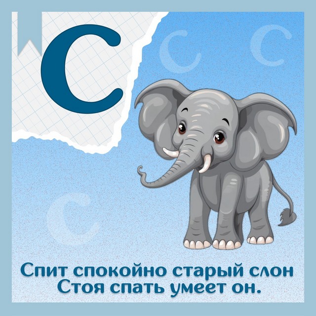 foto 2025 06 04 14 12 003