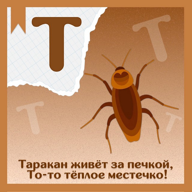 foto 2025 06 04 14 12 004