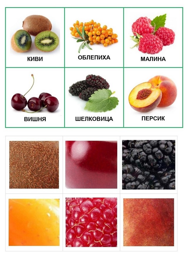 foto 2025 06 09 08 41 003