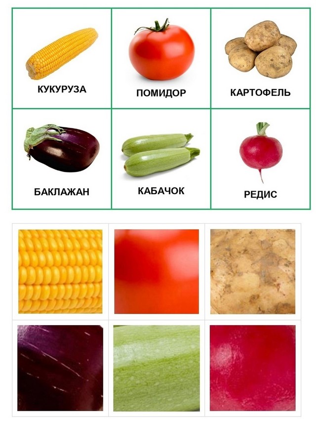 foto 2025 06 09 08 41 004