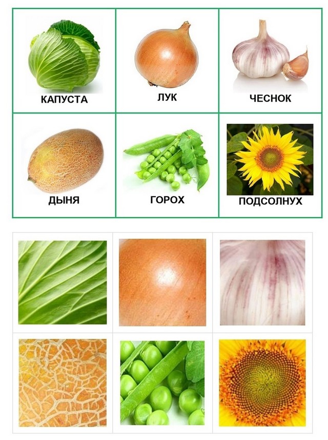 foto 2025 06 09 08 41 006