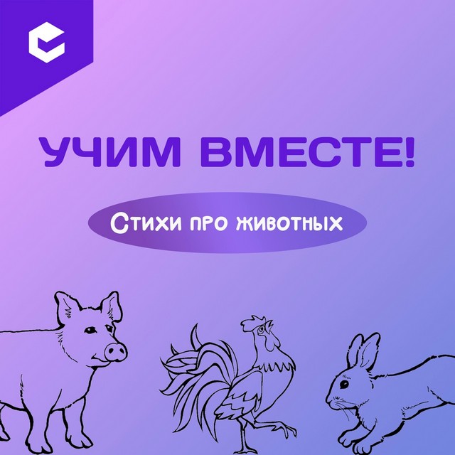 foto 2025 07 04 14 07 001