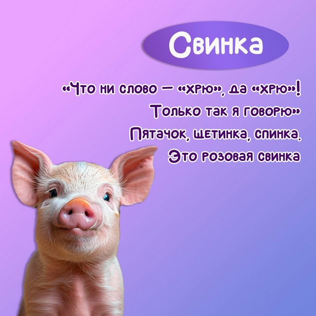foto 2025 07 04 14 07 002