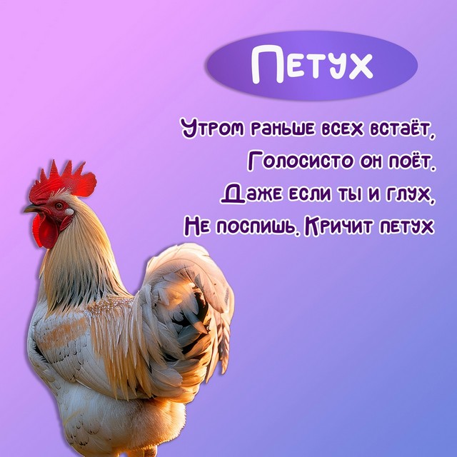 foto 2025 07 04 14 07 003