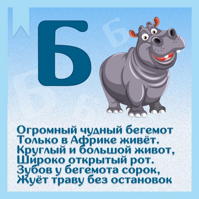 foto 2025 07 18 15 49 003