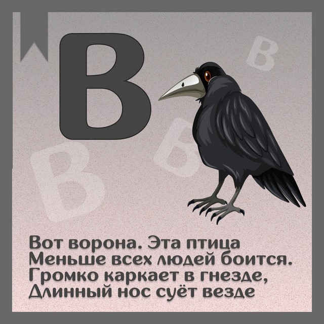 foto 2025 07 18 15 49 004