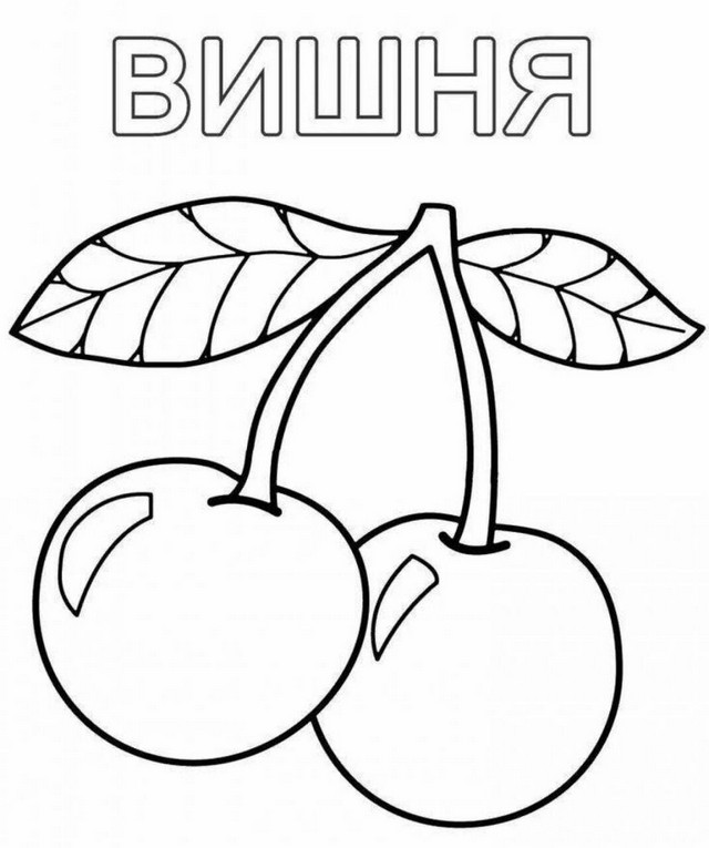 Foto 2025 08 11 20 35 002