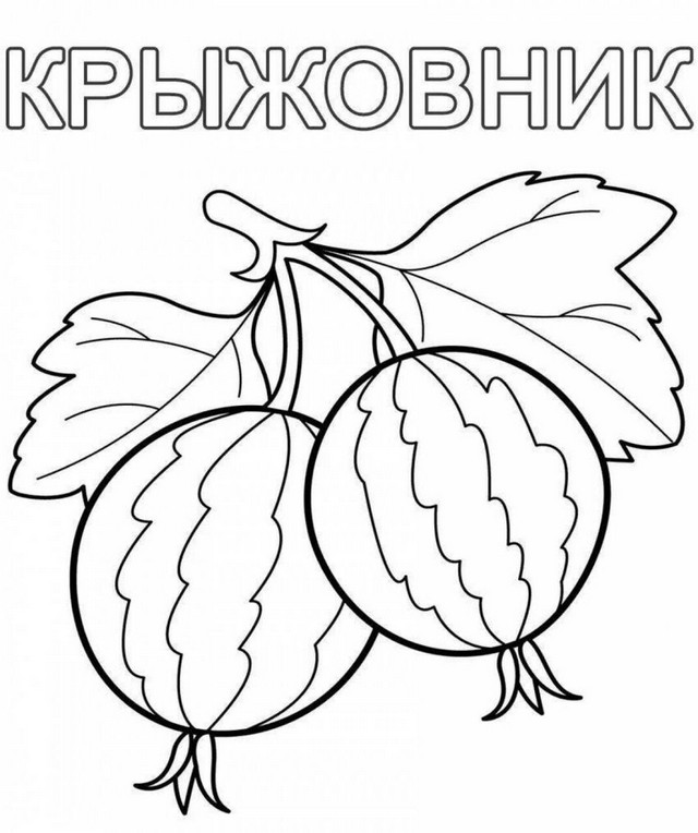 Foto 2025 08 11 20 35 004