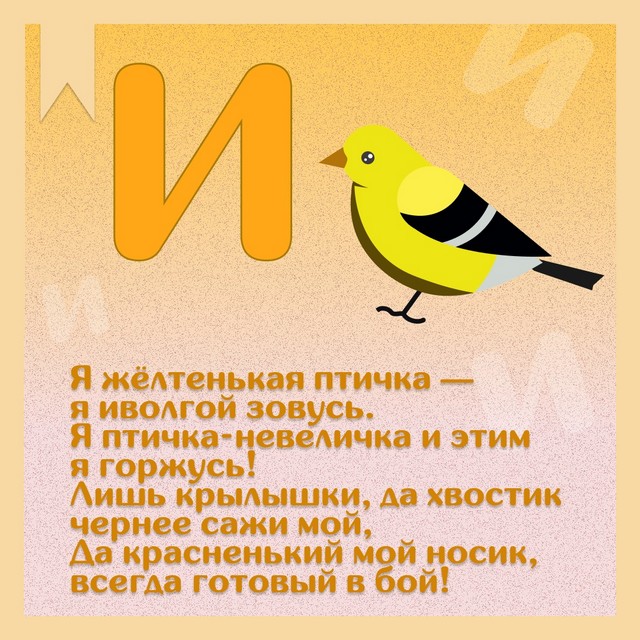 Foto 2025 08 18 20 04 003