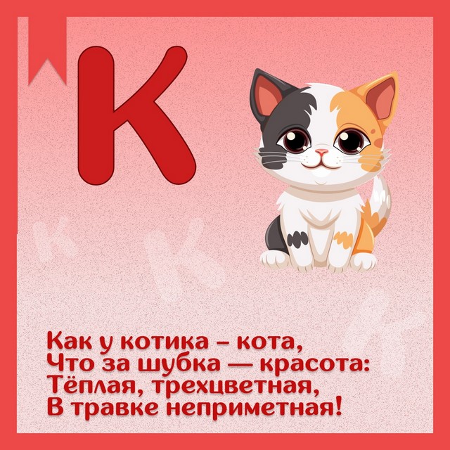 Foto 2025 08 18 20 04 004