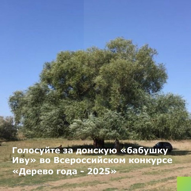Foto 0858 08082025
