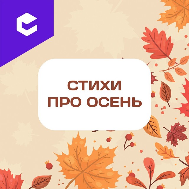 Foto 2025 09 01 20 28 001