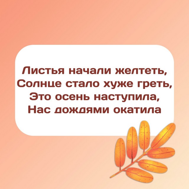 Foto 2025 09 01 20 28 003