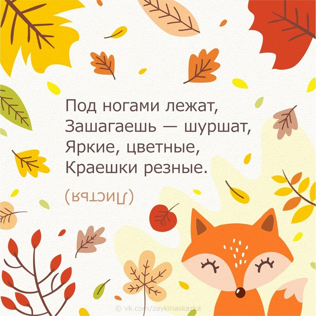 foto 2025 09 08 15 32 003
