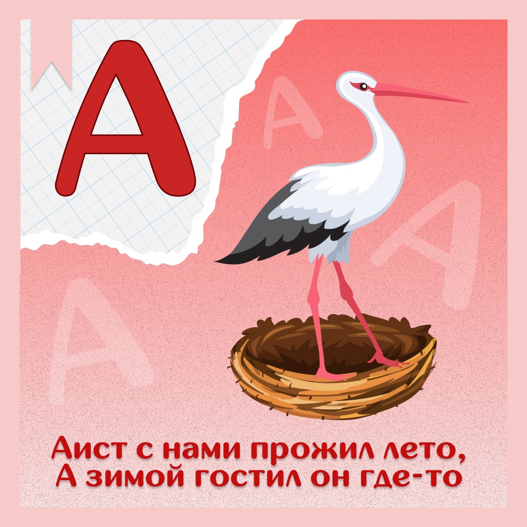 foto 2025 05 13 13 23 2