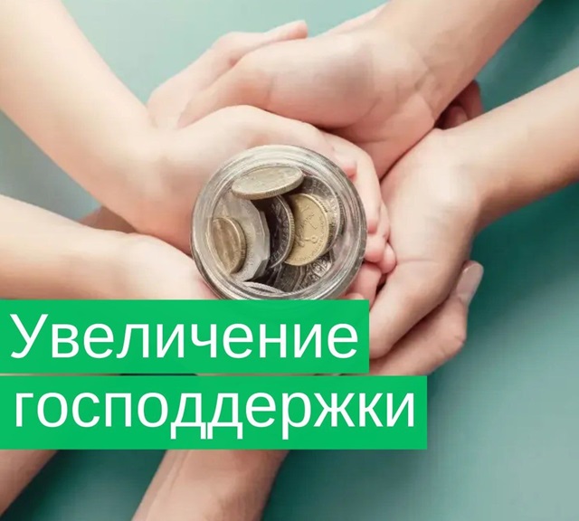 Как законно увеличить размер господдержки для родителей?