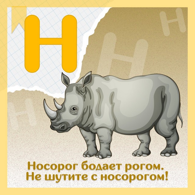 foto 2025 05 26 11 53 4