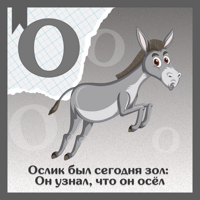 foto 2025 05 26 11 53 5