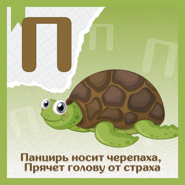 foto 2025 05 26 11 53 6