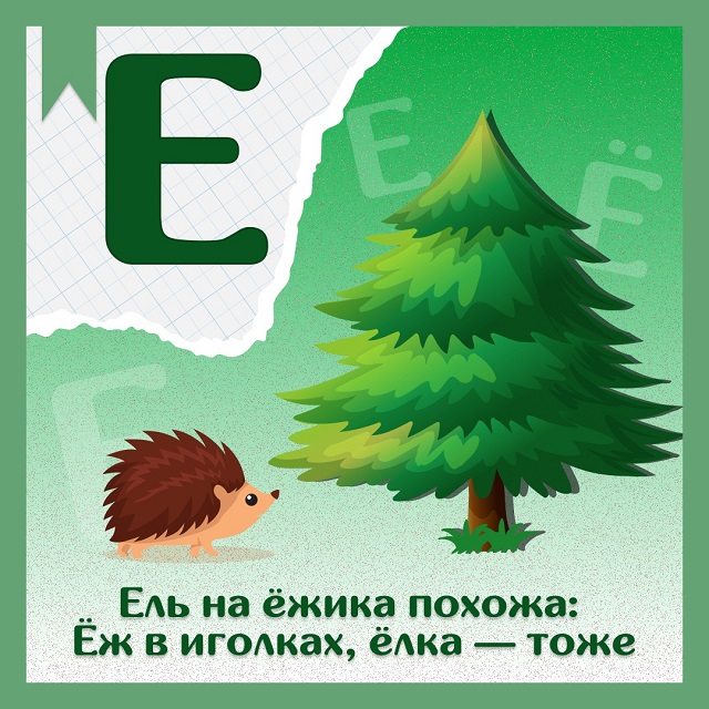 foto 21 05 2025 19 55 2