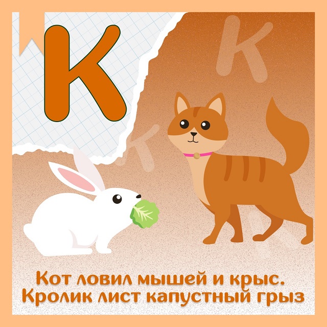 foto 21 05 2025 19 55 6