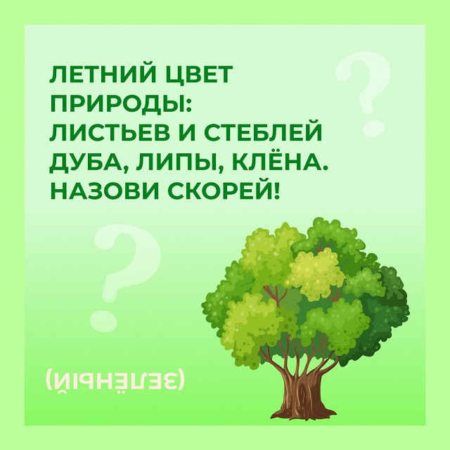 Загадки для маленьких художников!