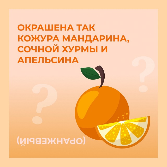foto 21 05 2025 20 18 4