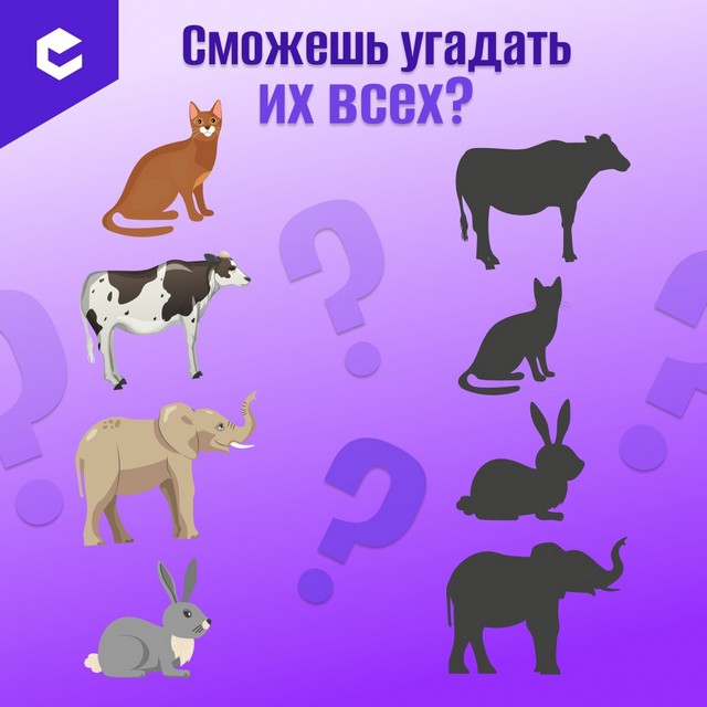 Угадайте, какому животному принадлежит тень!