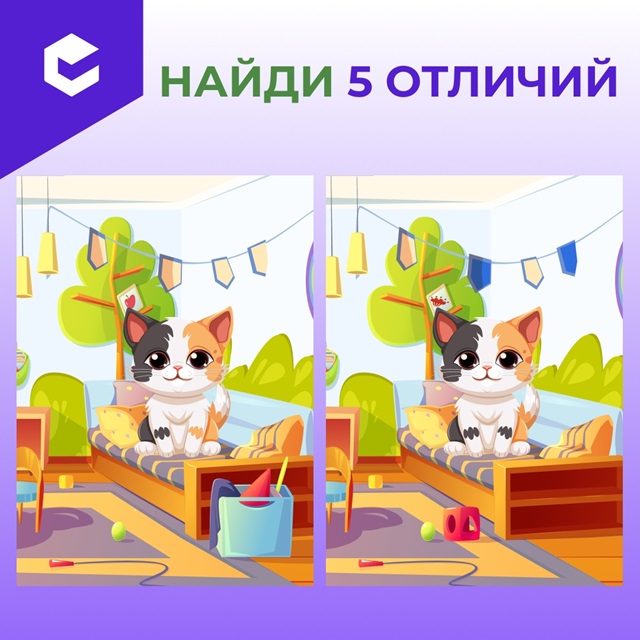 foto 2025 08 25 16 34 2