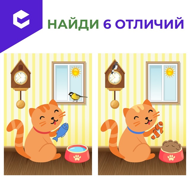 Посмотрите на этих милых котят — Тимошу и Мурзика!